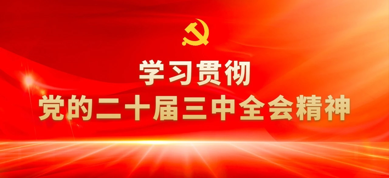 读懂党的二十届三中全会⑤：8组“开放热词”背后的知识点